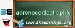 WordMeaning blackboard for adrenocorticotrophic